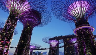 cheap business class to singapore